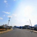 서귀포오일시장-2 이미지