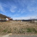 텃밭 일지 1 이미지