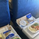 구평농장 | ep 01. 상하이 어학연수 후기 (겨울 준비물, 중국 기본 단어, Guiguicha)