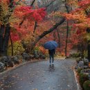 오현로20길 이미지