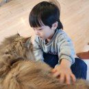 두 돌 아기랑 이색 데이트, 평택 삼층고양이카페 후기 ( Feat 사람 좋아하는 냥이들)