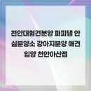 퍼피댕 안심분양소 강아지분양 애견입양 천안아산점 | 3대 질병 보장으로 안심하는 천안대형견분양 퍼피댕 안심분양소 강아지분양 애견입양 천안아산점