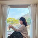 [경북/청도] 시골 감성 신상 숙소 “예사랑”