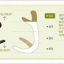 새미래한의원 이미지