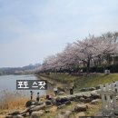 안산 화랑유원지 | 안산시 초지동 "화랑유원지" 후기