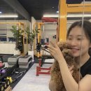 수원-1117 | 수원애견동반 가능한 금곡동PT 글로리짐에서 분리불안 걱정 없이 체중 감량 성공한 리얼 후기