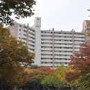 목동동로1길 이미지