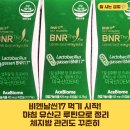 (주)에이스바이옴 | 비엔날씬17 유산균 체지방 루틴, 아침 후기