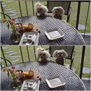 쉬었다가개 이미지