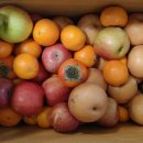 중리상회 이미지