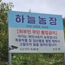 송삼1길-1 네이버블로그
