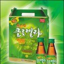 엽록소㈜ 이미지