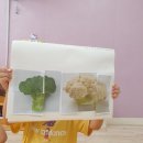 9월 테마채소ㅡ브로콜리 밀가루놀이 이미지