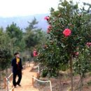 애기등 공원 이미지