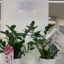 아고라수학전문학원 - 62414 | 아고라수학전문학원