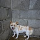 군산시-00939 이미지