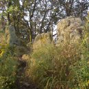 보라매농장 이미지