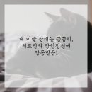 선한치과의원 이미지