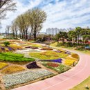 보강천4 이미지