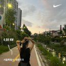 정수장교 | [2025] 9월 일상 : 반니 비스포크 계약, 우아르, 캠핑, 러닝 등 (9.1~9.30)