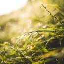 길목슈퍼 이미지