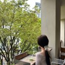 블루커피 - 하동군 쌍계로 4 | 오모테산도 테라스 카페를 찾는다면? "블루보틀커피 아오야마" 솔직 후기