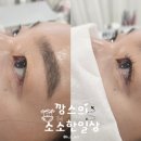 라비에래쉬 네이버블로그