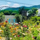 포항촌캉스 이미지