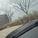 고하대로 | 목포 대형카페 석산 주말은 피하자 주차부족