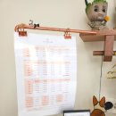 바나나 반려견 미용실 이미지