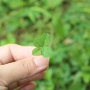 검단복지회관 수영장 이미지