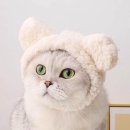 이리온 이미지