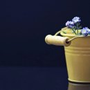 대한연탄사업 이미지