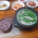 다슬기삼계탕 이미지