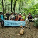 8/15/2026 정기산행 Nicholson Hollow to Corbin Cabin 이미지