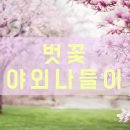 LG유치원 | [엘지태권도]야외수업/인생사진/특별한 날!/벗꽃/봄/신개금LG아파트/명소