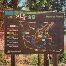 구봉산 치유숲길 입구 | [부산/애견동반 등산]구봉산 치유숲길