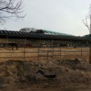 태평목장 이미지