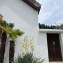 사유의숲 이미지