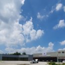 뉴본모터스 이미지