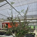 세나농장 이미지