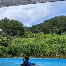 상수리나무식당 이미지