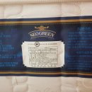 네오그린 이미지