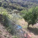 충주 행복한 농장 이미지