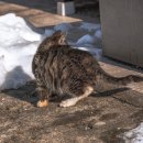 CU서천점 이미지