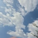 맥도날드 구미도량DT점 | 맥도날드 구미인동DT점 [겉바속쫄 맥윙] 솔직 후기