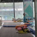 스위밍키즈 | [공지] 순천 어린이수영장 &#34;워텍스스위밍키즈&#34; 후기
