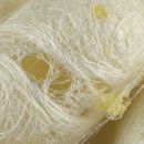 우리기전 | 당뇨·혈압 관리와 누에고치 실크 아미노산의 혈당 조절 기전