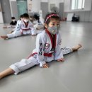 국가대표 탑 태권도장 이미지