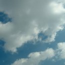 푸른하늘 - 700800 | 푸른하늘